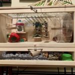 Wooden Hamster Habitat photo review