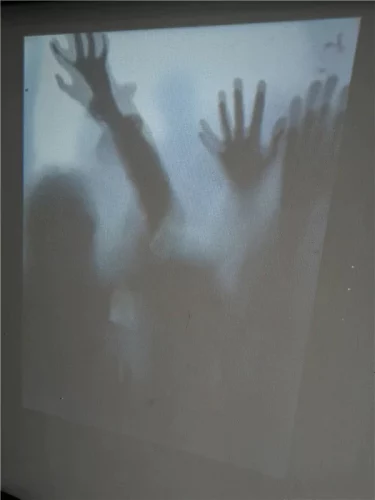 Halloween Holographic Window Projection photo review