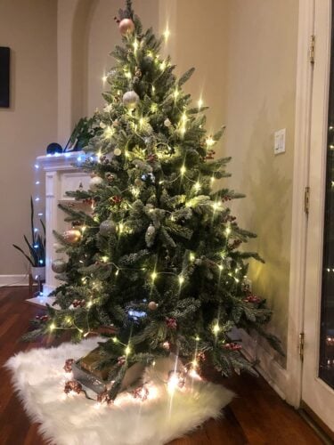 Lightly™ 500 LED Christmas Tree Lights photo review