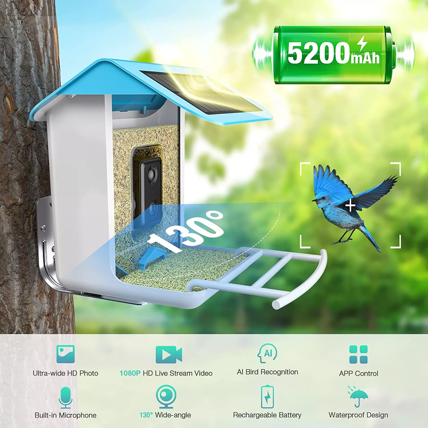 AI-Powered WIFI Smart Bird Feeder Camera – Bild 6