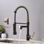 WaterShine™ Spring Kitchen Pull out Tap for Kitchen Sink – Bild 4