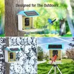 AI-Powered WIFI Smart Bird Feeder Camera – Bild 4