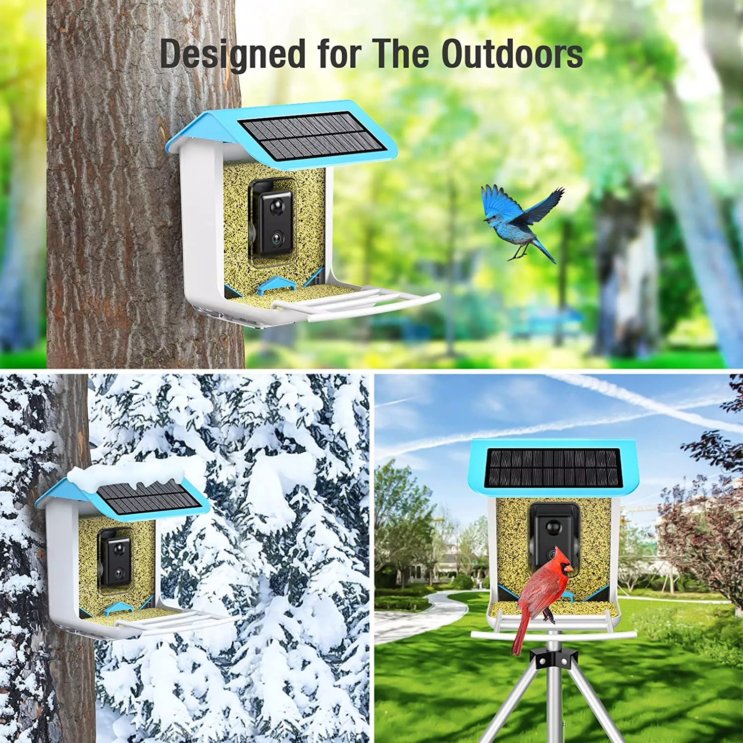 AI-Powered WIFI Smart Bird Feeder Camera – Bild 4