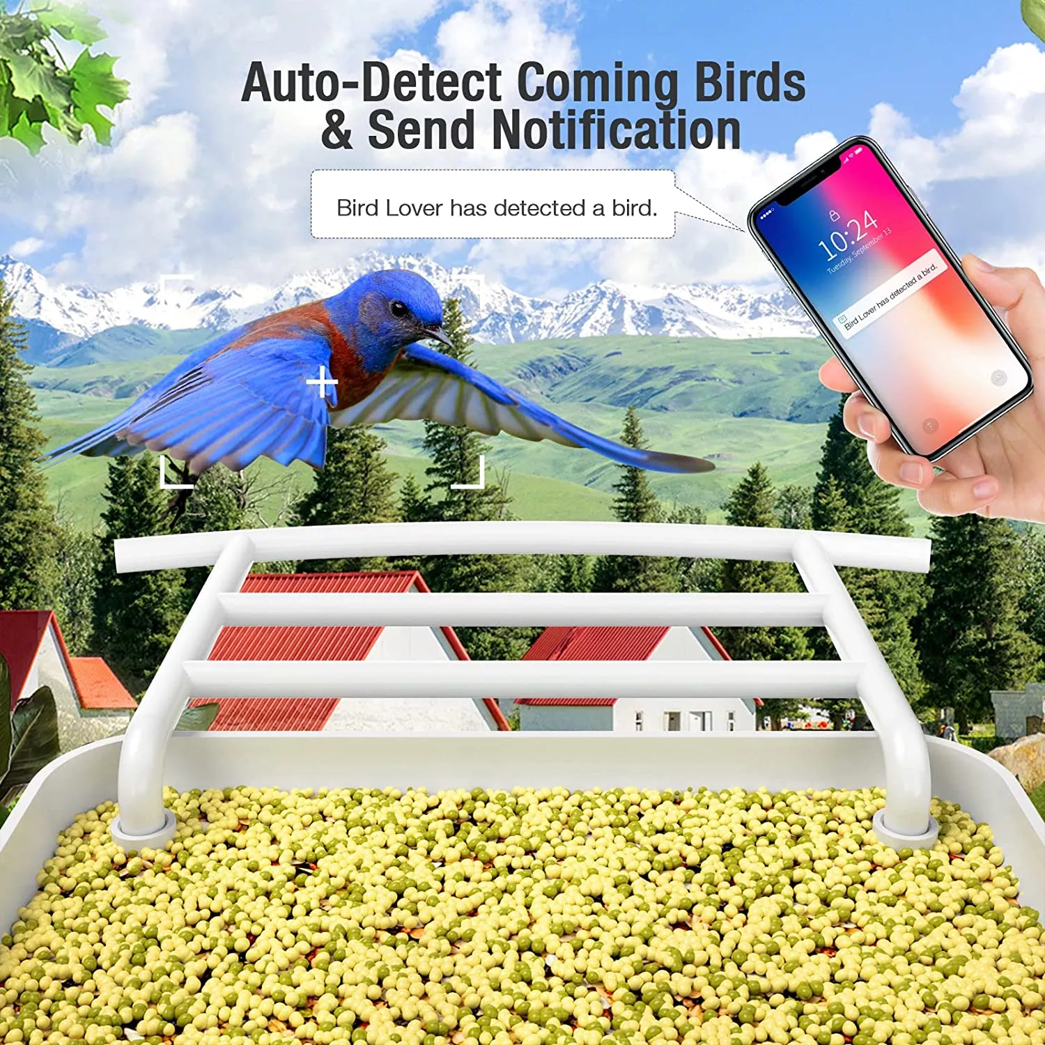 AI-Powered WIFI Smart Bird Feeder Camera – Bild 5