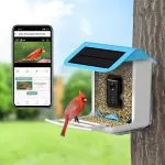 AI-Powered WIFI Smart Bird Feeder Camera – Bild 2