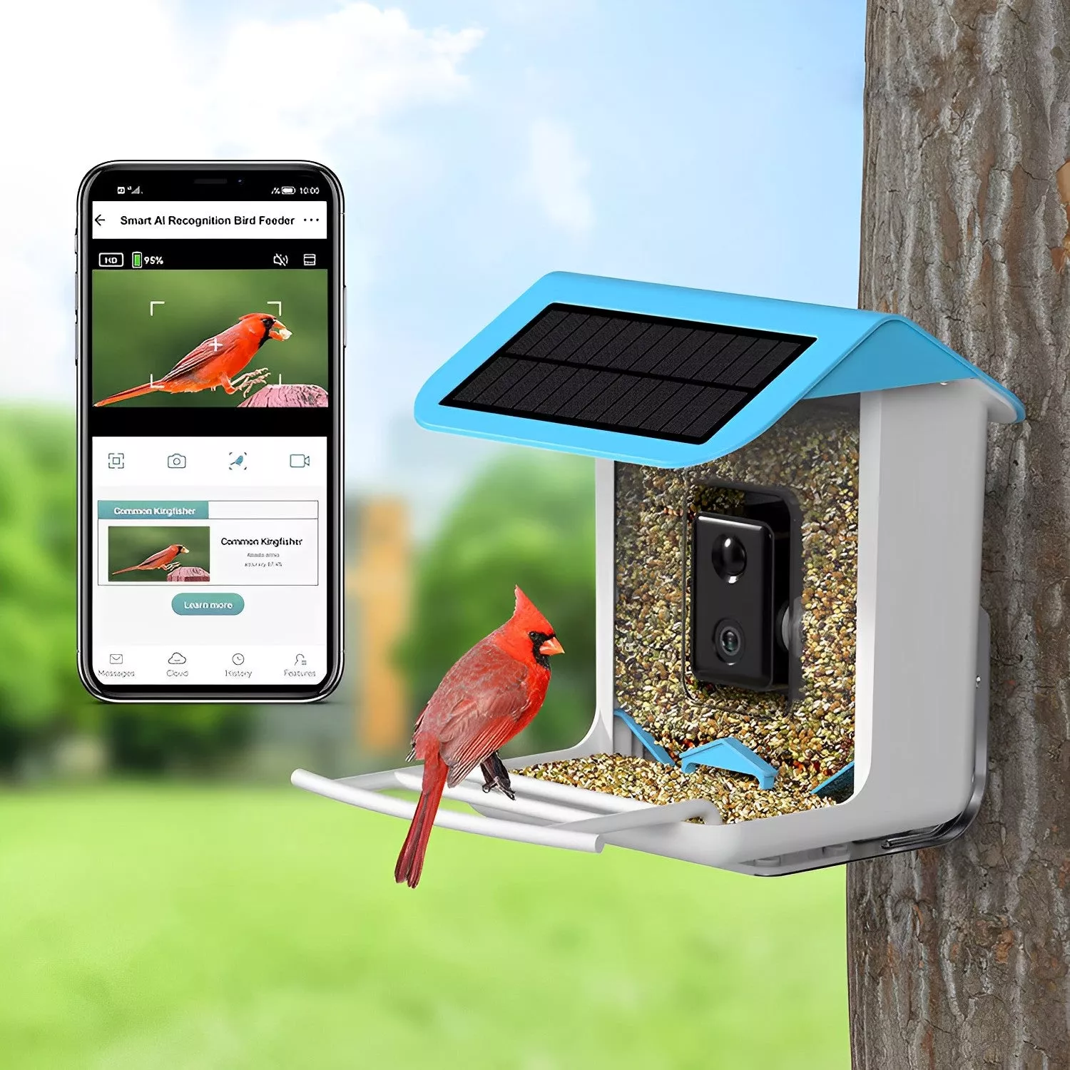 AI-Powered WIFI Smart Bird Feeder Camera – Bild 2