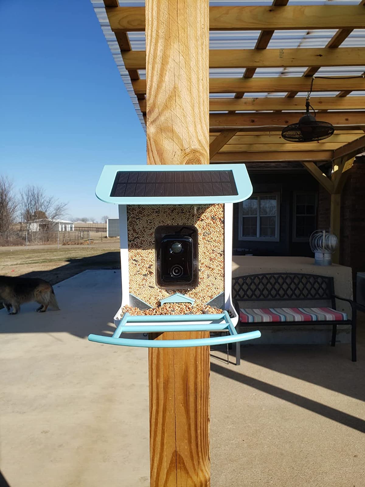 AI-Powered WIFI Smart Bird Feeder Camera photo review