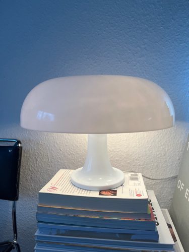 Mushroom Desk Lamp photo review