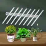 800w Full Spectrum LED Grow Light - Image 2