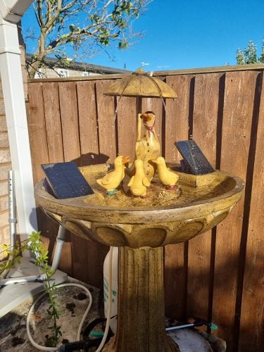 Solar Powered Duck Family Umbrella Water Fountain Bird Bath photo review