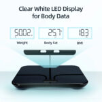 Smart Body Fat Scale for Weight Loss | 8-Electrode BIA